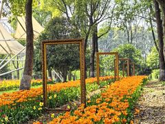 -上海鲜花港