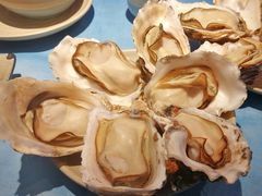 -千岛蚝高压锅生蚝·人参火锅(白云万达店)