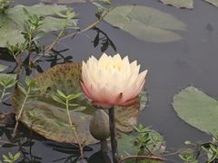 -嘉北郊野公园