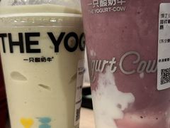 -一只酸奶牛(八一路店)