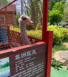 -萌宠亲子动物乐园(槐房万达店)