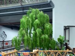 -无锡融创水世界