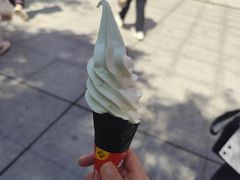 -蜜雪冰城(万象新城商业街店)