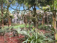 -呀路古热带植物园