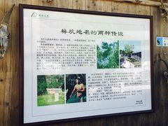 -林坑古村落