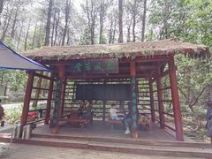 -铁山坪森林公园