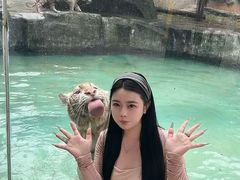 -灵玲国际马戏城