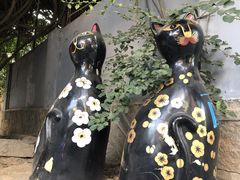 -猫咪博物馆(顶澳仔猫街店)