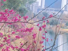 -西北湖绿化广场
