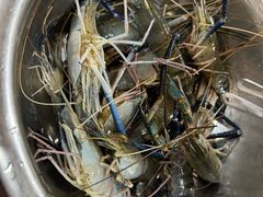 -桃源乐钓虾馆(松岗概念店)