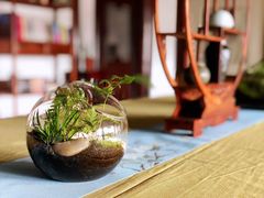 -阿婆茶楼
