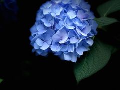 -常州古运河南大街文化旅游区-人民公园