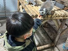 -水上乐园·欢乐世界