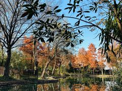 -西溪国家湿地公园