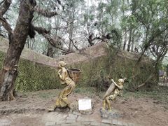 -北海金海湾红树林生态旅游区