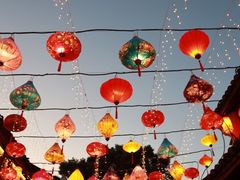 -鲁镇