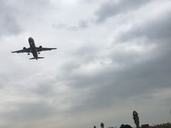 -空港花田景区
