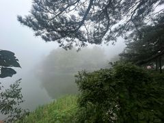 -庐山风景区花径公园