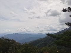 -牛背梁国家森林公园