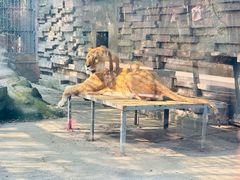 -宁波野生动物园