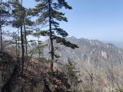 -老君山风景名胜区