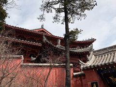 -秦岭天竺山生态文化旅游景区