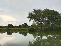 -西溪国家湿地公园