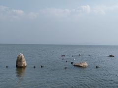 -洱海月湿地公园