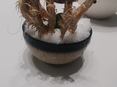 -红鼎豆捞·非遗鲍皇汤火锅(宝丰路店)