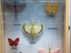 -大连自然博物馆