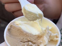-Dip in Gelato(富民路店)