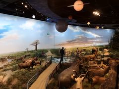 -陕西自然博物馆