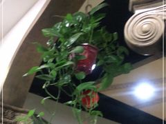 -楼外楼大刀肉传统火锅(西安大路店)