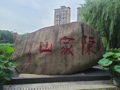 -陈家山荷花公园