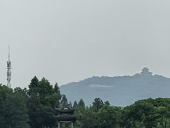 -长广溪湿地公园