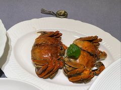 -津菜典藏(天津之眼店)