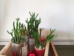 -Hello·生日蛋糕·下午茶·甜品台茶歇(瑞安东山店)