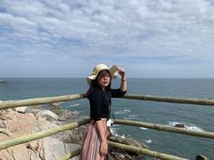 -广东惠东海龟国家级自然保护区