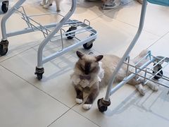 -怪兽屋·羊驼·猫咖·狗咖(俊华广场店)