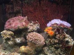 -北戴河圣蓝海洋公园