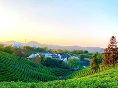 -帐篷客·溪龙茶谷度假酒店