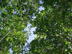 -北京张裕爱斐堡酒庄