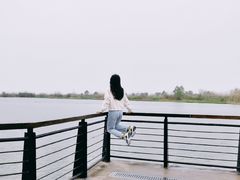 -合肥滨湖国家森林公园