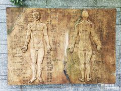 -广州神农草堂中医药博物馆