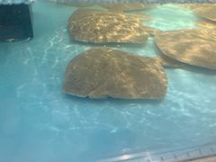 -家家悦生活港自助餐厅海之恋(W37店)