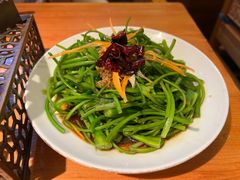 -菌自由丨野生菌火锅特色庭院餐厅(丽江古城店)