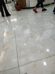 -阿玛仕