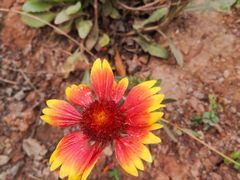 -金堂县云顶石城风景区