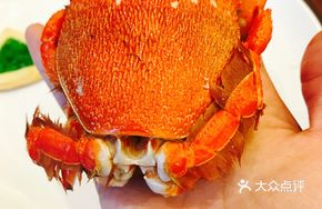Crab Leg Meat