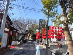 -张鸟园农家乐(张鸟园店)